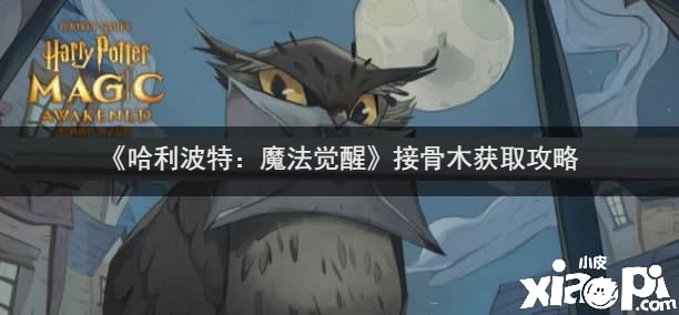 《哈利波特：邪术觉醒》接骨木获取攻略