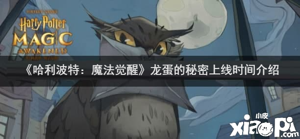 《哈利波特：邪术觉醒》龙蛋的奥秘上线时间先容