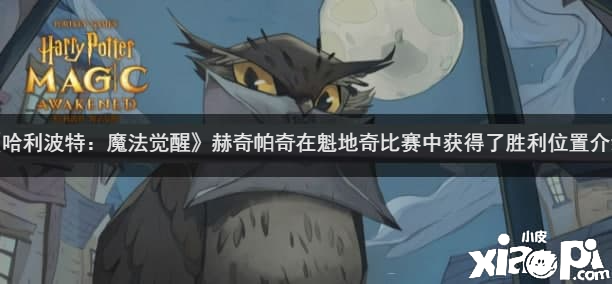 《哈利波特：邪术觉醒》赫奇帕奇在魁地奇角逐中得到了胜利位置先容