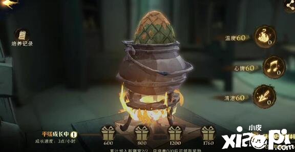 《哈利波特：邪术觉醒》寝室龙蛋玩法先容