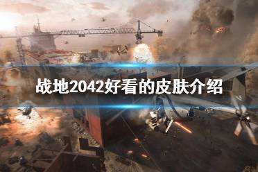下面小编就带来战地2042好看的皮肤介绍