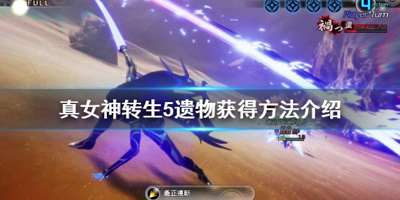 游侠网1