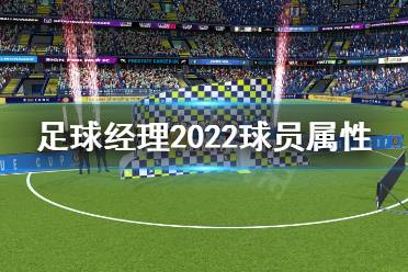 个人习惯有经常尝试传身后球、控制节奏、从右路内切