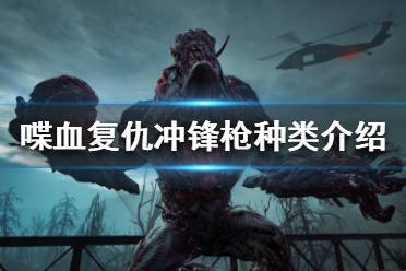 然而伤害却是m4级别的10点同时伤害成长也低的可怜就算是紫色品质也只有13.3