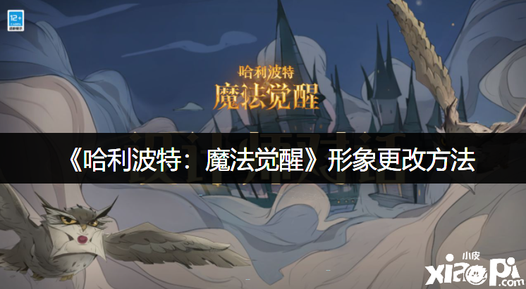 《哈利波特：邪术觉醒》形象变动要领
