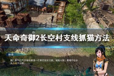 火烧了会出来一只虎斑猫