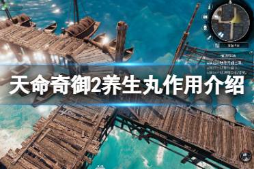 得知养生丸的主要成分为紫茎粉