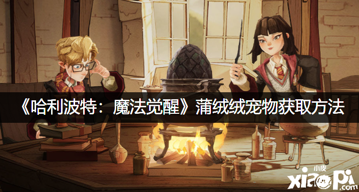 《哈利波特：邪术觉醒》蒲绒绒宠物获取要领
