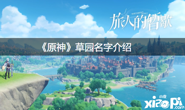 《原神》草园名字先容