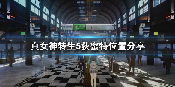 游侠网1
