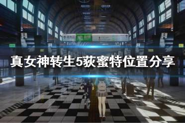 更多内容可以点击相关攻略查看