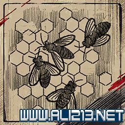 游侠网11