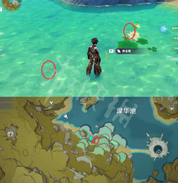 游侠网2