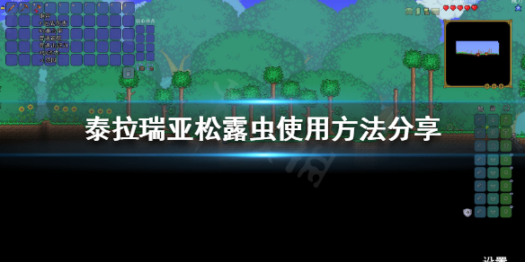 游侠网1