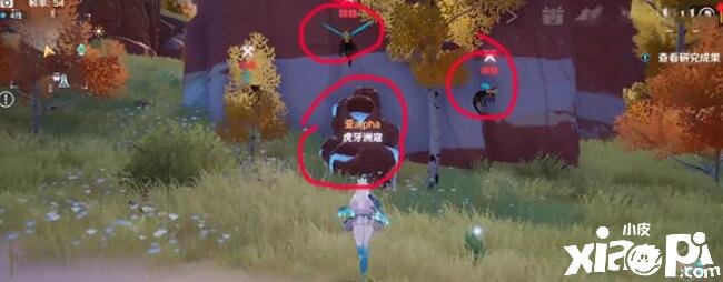 《幻塔》藤壶位置先容