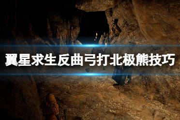 其他选择:如果擅长潜行和爆头