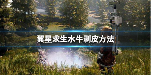 游侠网1