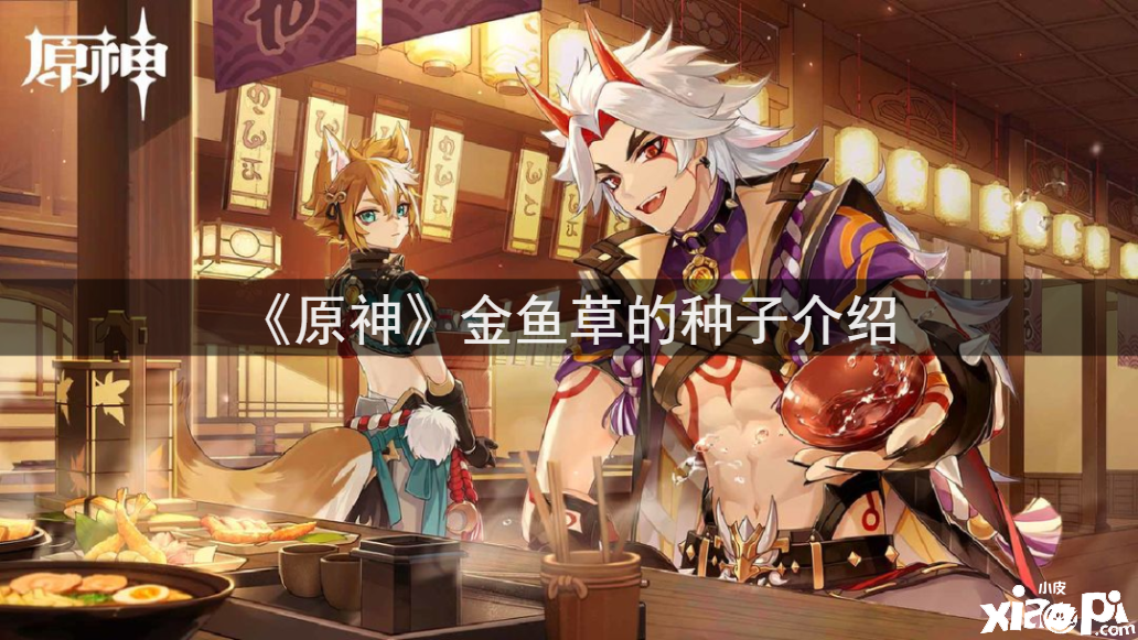 《原神》金鱼草的种子先容