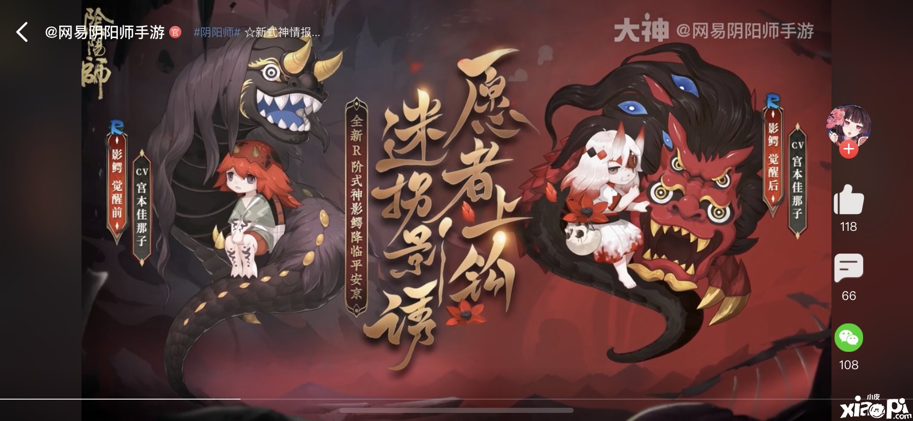 《阴阳师》影鳄式神先容