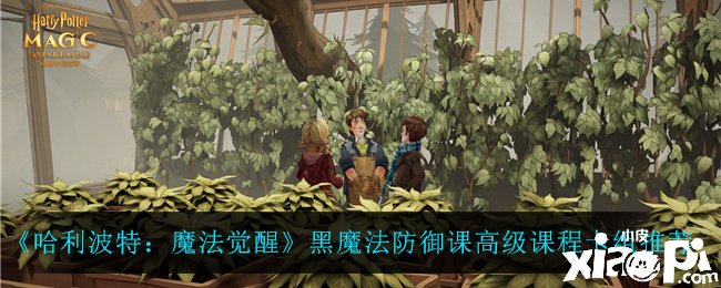 《哈利波特：邪术觉醒》黑邪术防止课高级课程卡组推荐