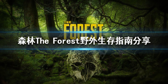 游侠网1