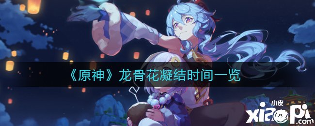 《原神》龙骨花凝聚时间一览