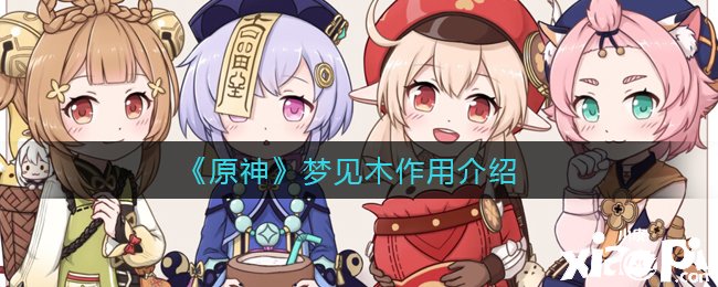 《原神》梦见木浸染先容