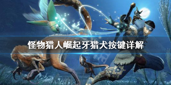 游侠网1