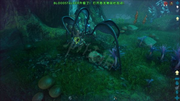 游侠网9