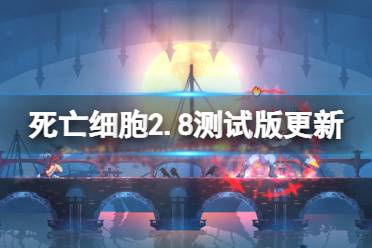 一定不要错过哦