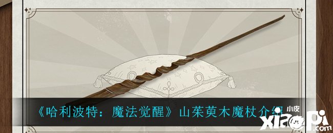 《哈利波特：邪术觉醒》凤凰初生之焰先容