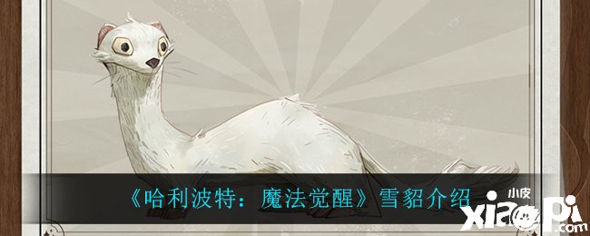 《哈利波特：邪术觉醒》雪貂先容