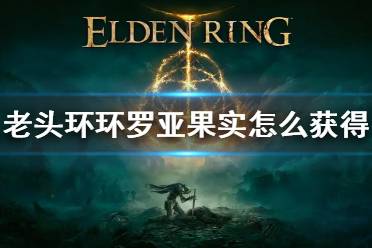 艾尔登法环 坐骑系统 游戏背景 实机演示 图文攻略 职业属性 魔女瑞娜 法系职业 全boss