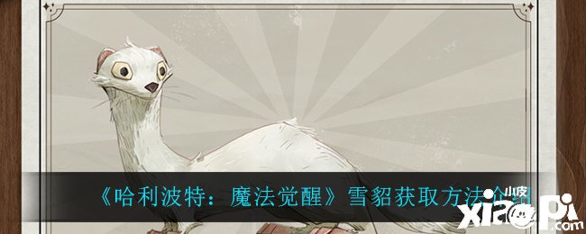 《哈利波特：邪术觉醒》雪貂获取要领先容