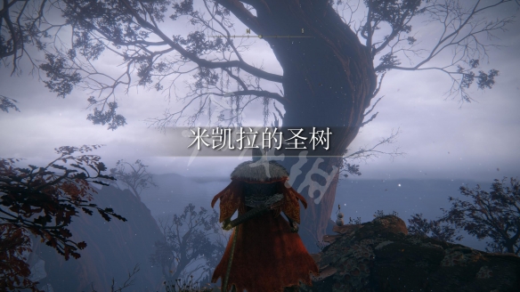 游侠网5