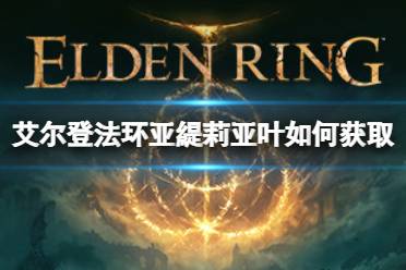 亚緹莉亚叶就在尸体上