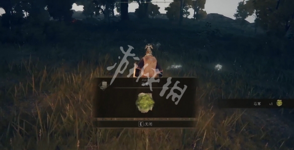 游侠网5