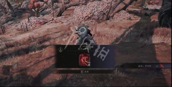 游侠网4
