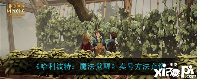 《哈利波特：邪术觉醒》卖号要领先容