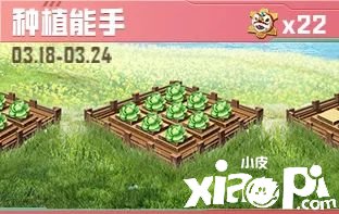 《僻静精英》僻静小镇勾当先容