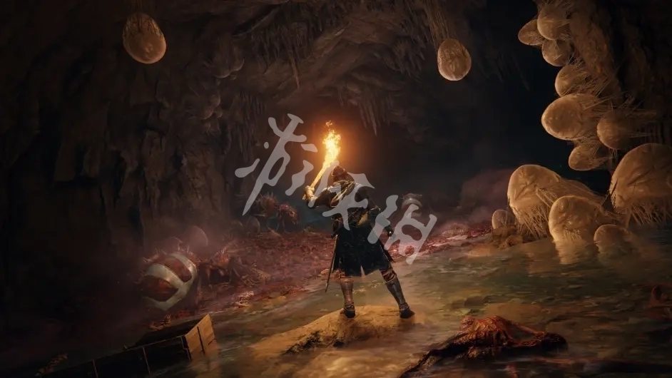 游侠网2