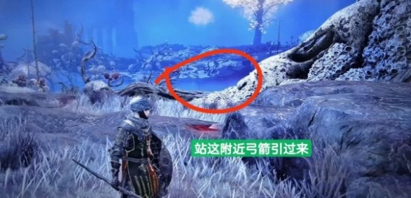 游侠网2