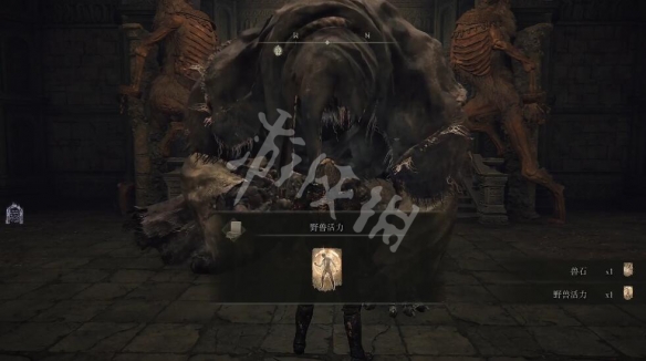 游侠网5