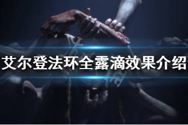 以上就是为大家带来的艾尔登法环全露滴效果介绍