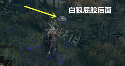 游侠网4