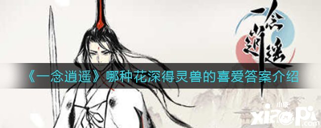 《一念逍遥》哪种花深得灵兽的喜爱谜底先容