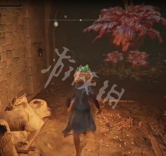 游侠网3