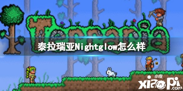 泰拉瑞亚Nightglow怎么样