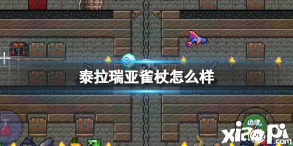泰拉瑞亚雀杖怎么样