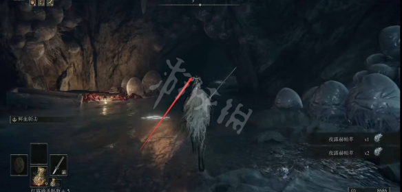 游侠网4